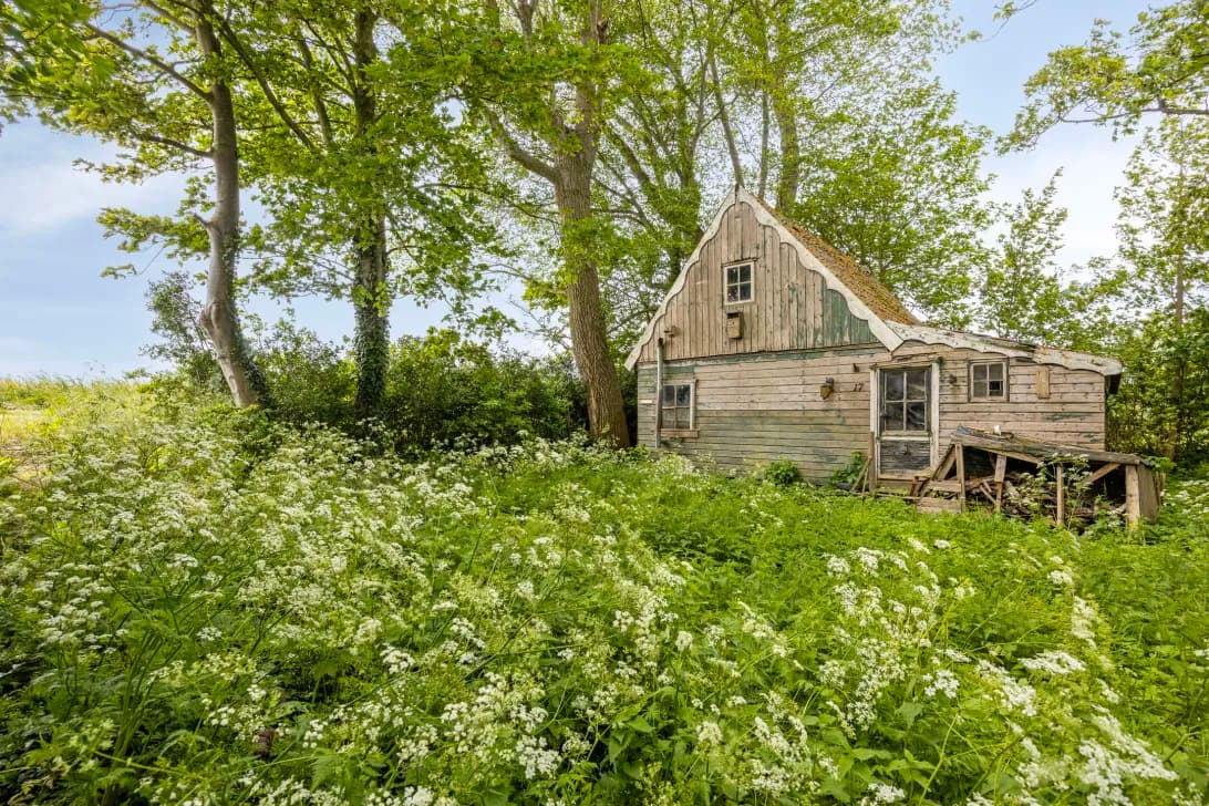 Sample image #1