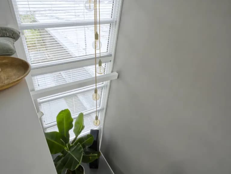 Sample image #2